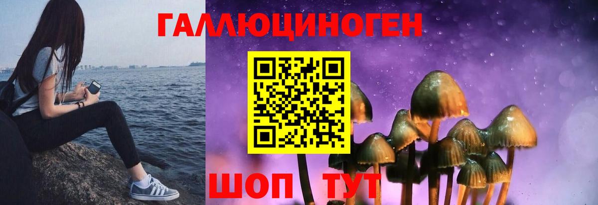 Галлюциногенные грибы Cubensis  Вход с VPN  Азов 
